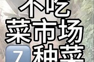 开云真人app下载苹果版截图3